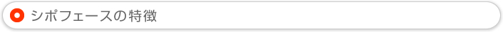 シポフェースの特徴